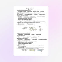 Тест по теме "Плоские черви" (7 класс)