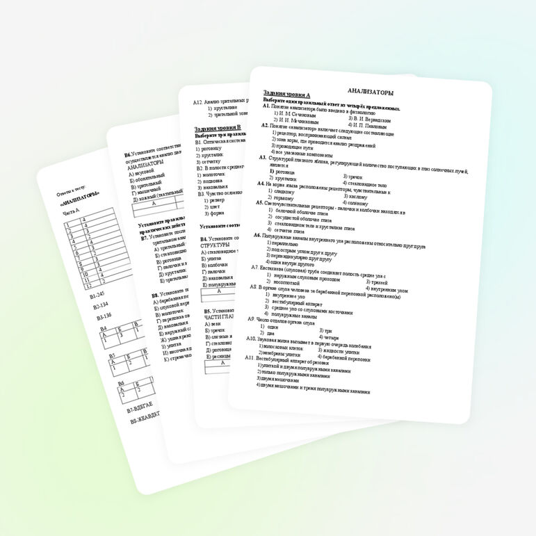 Тест по биологии на тему "Анализаторы"