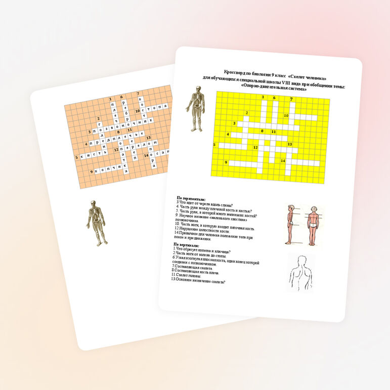 Кроссворд по биологии 9 класс «Скелет человека»