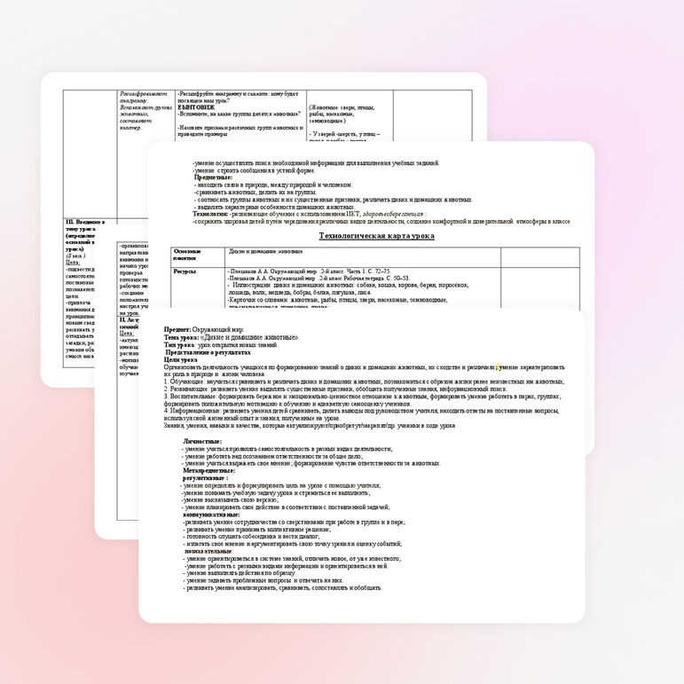 Урок окружающего мира на тему Дикие и домашние животные ( 2 класс)