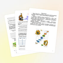 Урок по биологии на тему «Клетка»