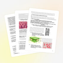 Урок по биологии на тему «Клетка»