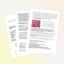 Урок по биологии на тему «Клетка»