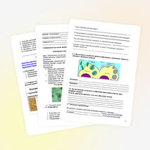 Урок по биологии на тему «Клетка»