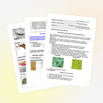 Урок по биологии на тему «Клетка»