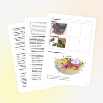 Урок по биологии на тему «Клетка»