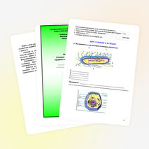 Урок по биологии на тему «Клетка»