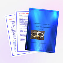 Урок английского языка «Crimes and criminals»