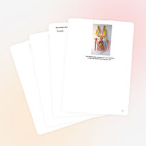 Творческий проект "Куклы-обереги в традициях Руси"