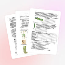 Лабораторный практикум 7-11 класс