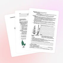 Лабораторный практикум 7-11 класс