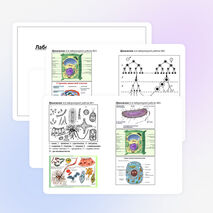 Лабораторные работы по биологии для 10 класса