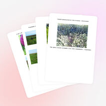 Презентация к классному часу "Экскурсия в степь"