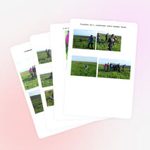 Презентация к классному часу "Экскурсия в степь"