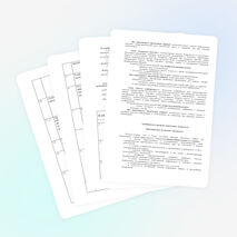 Рабочая программа по информатике 3 класс