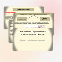Презентация 