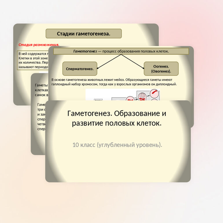 Презентация 