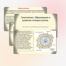 Презентация 