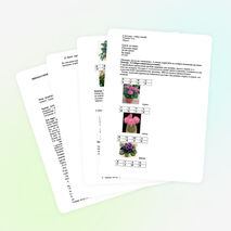 Презентация к внеклассному мероприятию по биологии для 6-7 классов "Чудеса рядом с нами"