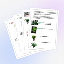 Проект "география комнатных растений"