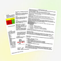 Ашық сабақ "ЭКСПО көрмелеріне саяхат"