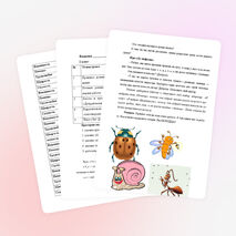 Охранять природу – значит охранять Родину (урок литературного чтения во 2 классе)