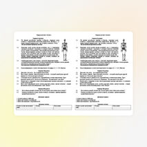 Проверочная работа "Скелет человека" 8 класс