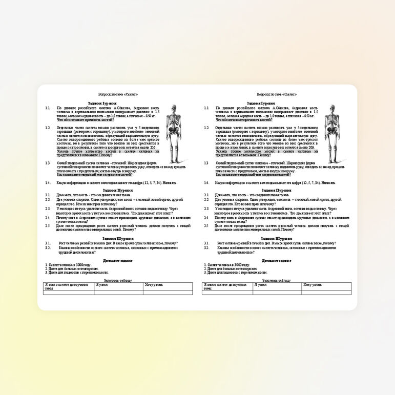 Проверочная работа "Скелет человека" 8 класс