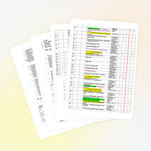 Рабочая программа и календарно-тематическое планирование по русскому языку. УМК Грекова, ЧЕШКО. 11 класс.