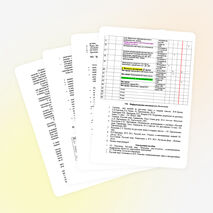 Рабочая программа и календарно-тематическое планирование по русскому языку. УМК Грекова, ЧЕШКО. 11 класс.