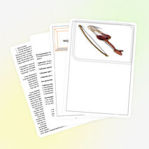 «Қазақ халқының музыка өнері» ашық сабақ