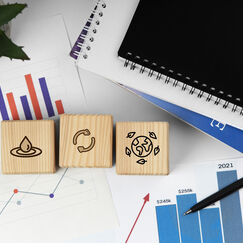 Обложка курса 'Основы диверсификации бизнеса'