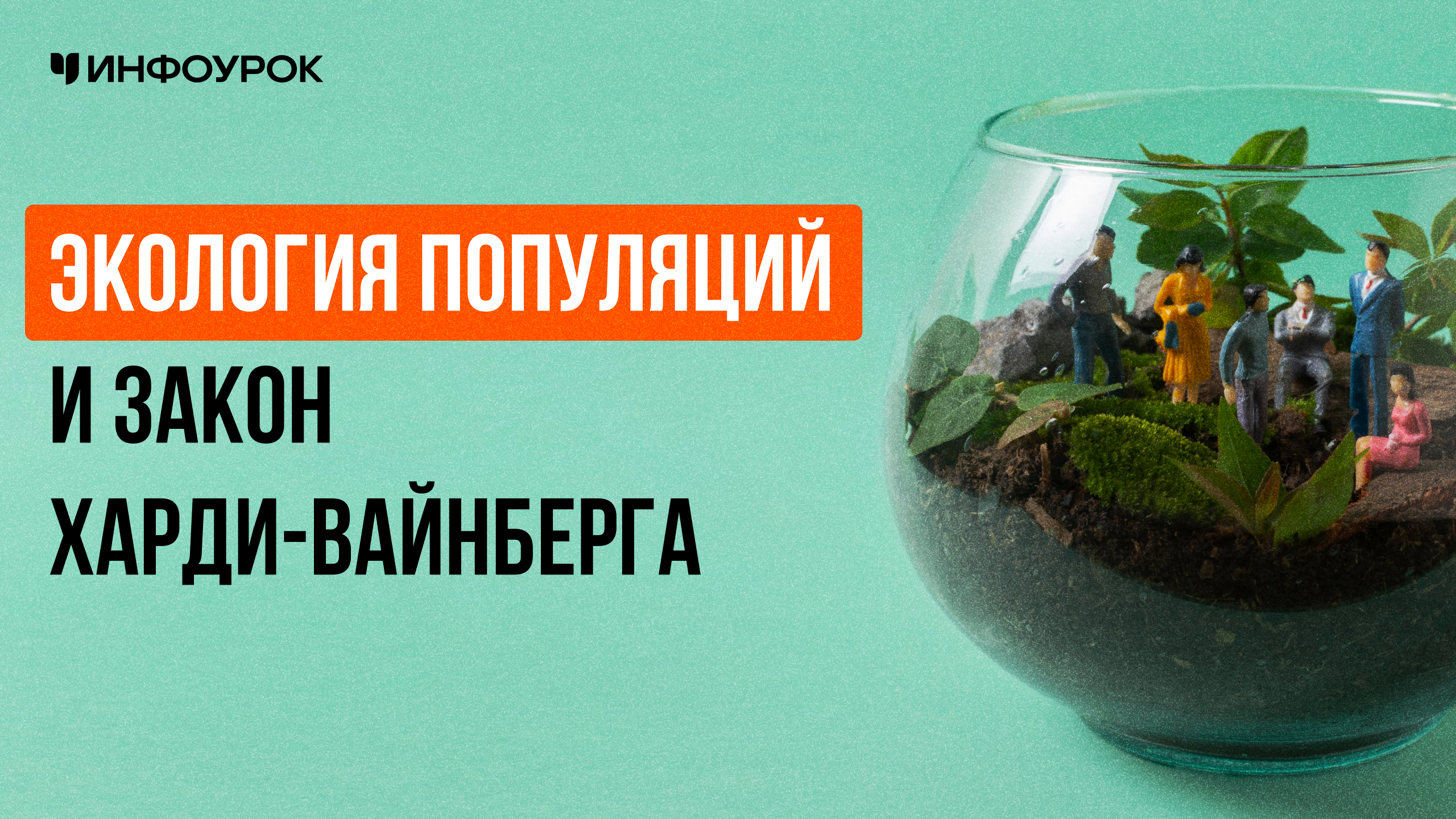 Обложка курса