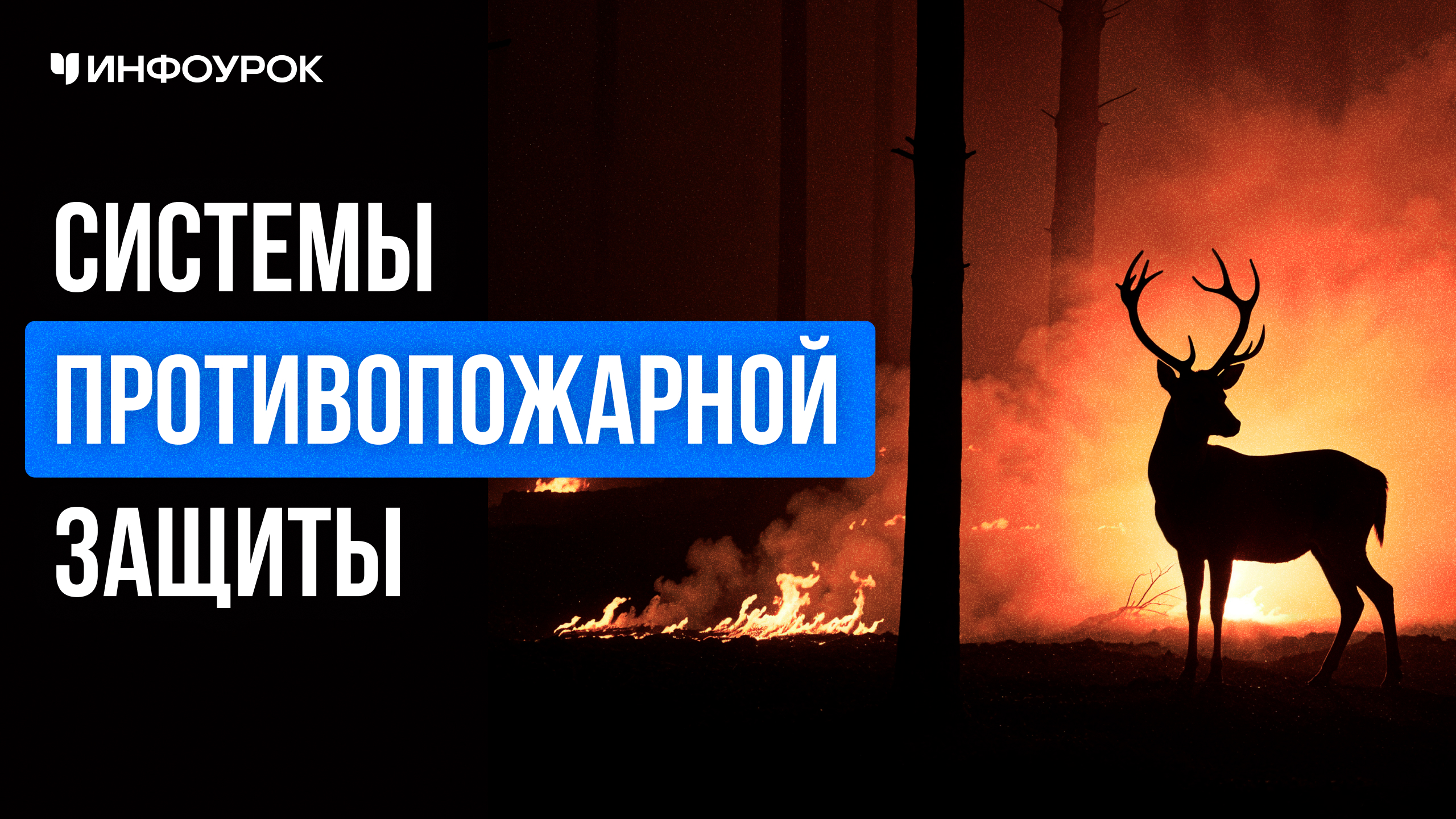 Обложка курса