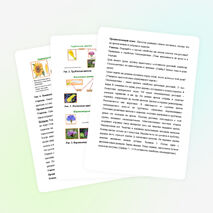 Открытый урок по биологии на тему: "Семейство Сложноцветные"