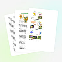 Открытый урок по биологии на тему: "Семейство Сложноцветные"