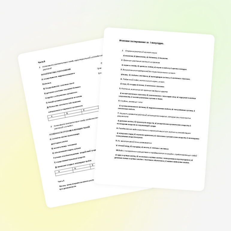 Итоговое тестирование за Iполугодие в 6 классе