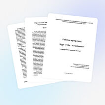 "Рабочая программа " Мы - астраханцы"