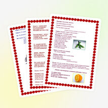 Овощи, ягоды и фрукты - самые витаминные продукты