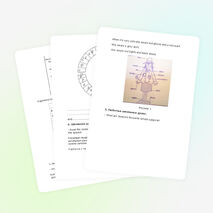 План конспект урока по теме " Школа" 6класс