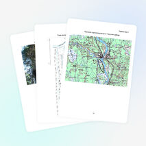 Исследовательская работа "Ведьмины мётлы в местечке Кепсала и их распространённость по территории"