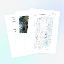 Исследовательская работа "Ведьмины мётлы в местечке Кепсала и их распространённость по территории"