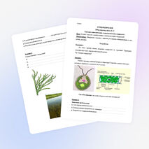 ОТРЯД ВОДОРОСЛЕЙ Лабораторная работа № 17 Строение одноклеточных и многоклеточных водорослей.