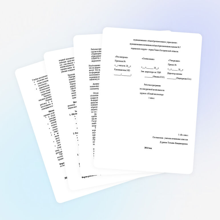 Рабочая программа по внеурочной деятельности