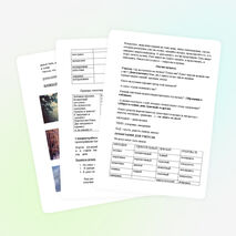 Урок в 9 классе