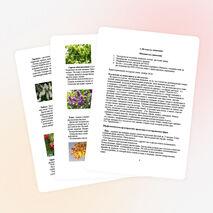 Исследовательская работа по географии