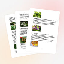 Исследовательская работа по географии