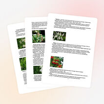 Исследовательская работа по географии