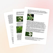 Исследовательская работа по географии