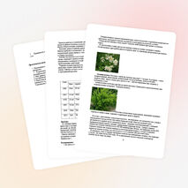 Исследовательская работа по географии